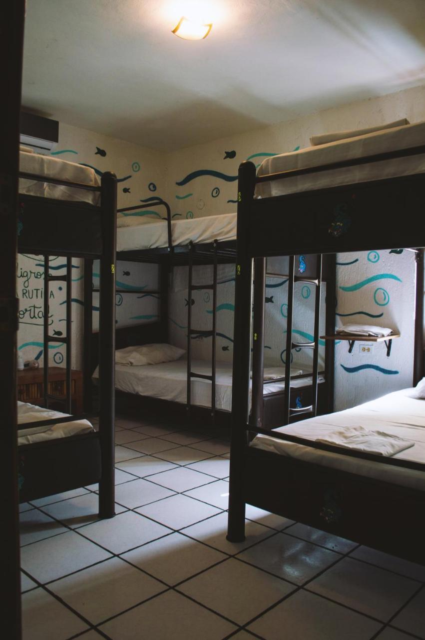 Kukulcan Hostel & Friends Канкун Экстерьер фото